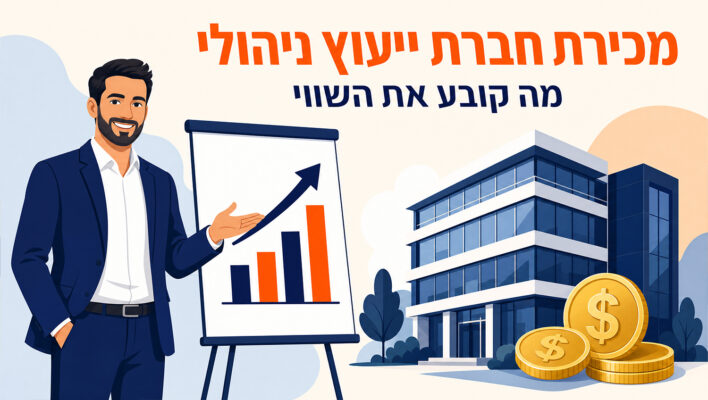 מכירת חברת ייעוץ ניהולי